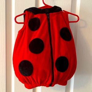 Baby ladybug costume
